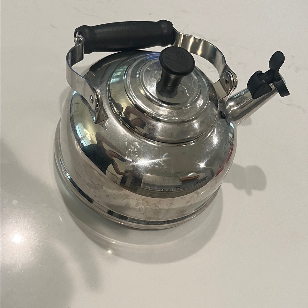 Le Creuset Stainless Tea Kettle